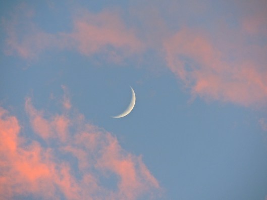 crescent