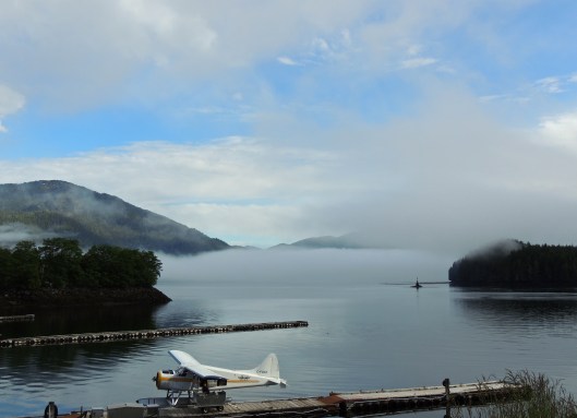 about to depart from Seal Cove