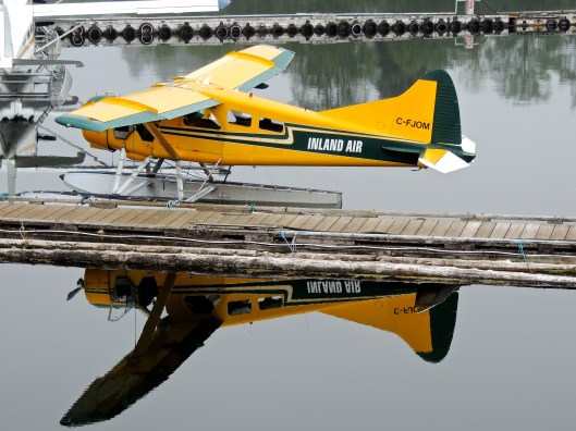 Beaver plane