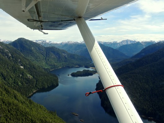 Seaplane Perspective