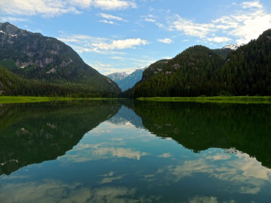 Wilderness is not a luxury but a necessity of the human spirit. Edward Abbey (1927-1989)