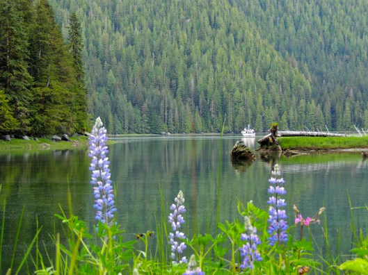 view of the boat from waterfall meadow