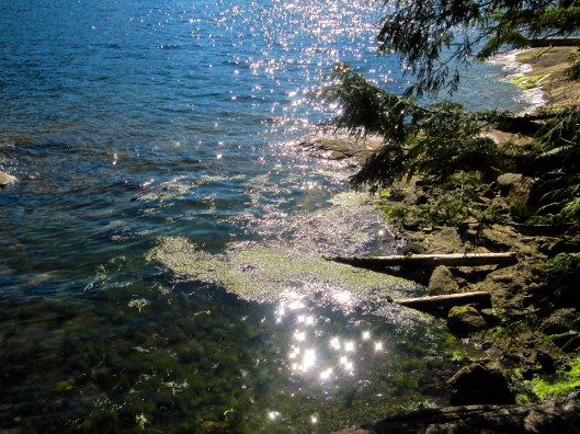 Bishop Bay Hot Springs Sparkle