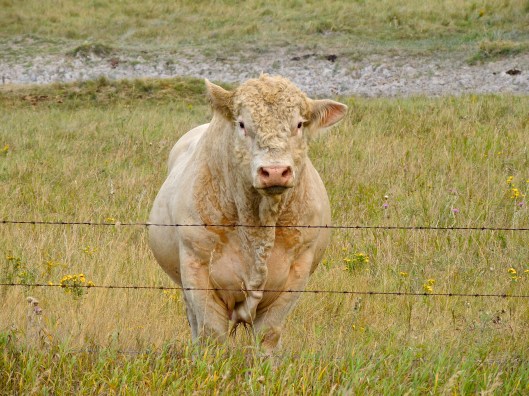 Hey....you...please take my picture..