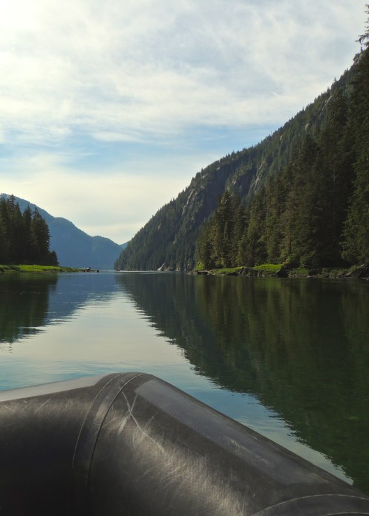 On a zodiac, somewhere off the coast of British Columbia, June 2013
