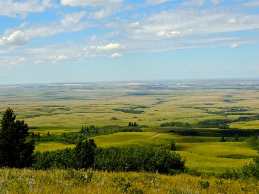 View from Bald Butte, Cypress Hills, July 2013