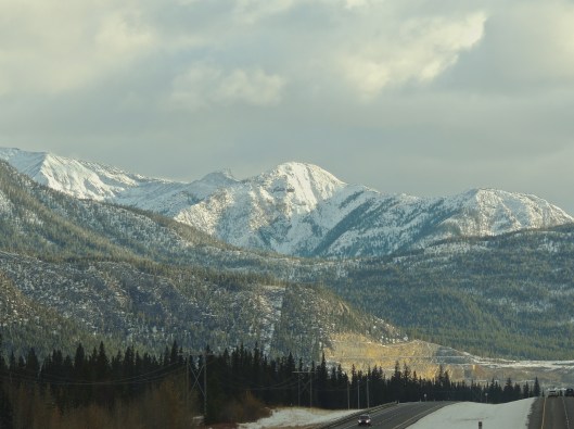 beautiful morning light to start the trip home...
