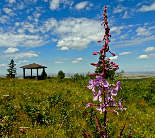 Look-out Point at Cypress Hills