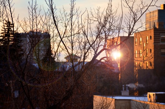 February 27 sunset 4