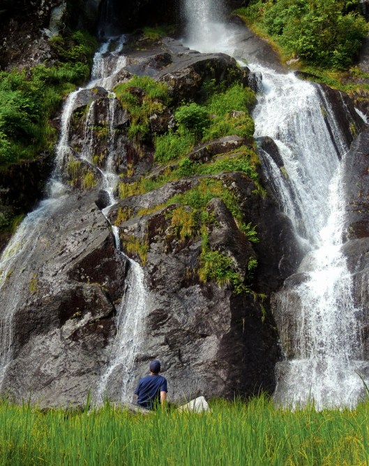 great bear rainforest taking a moment 2