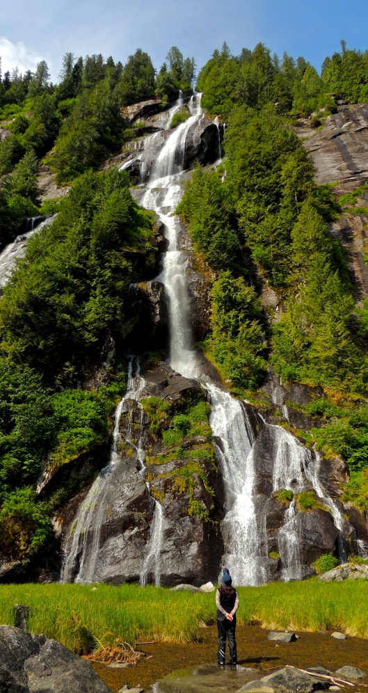 Great Bear Rainforest taking a moment
