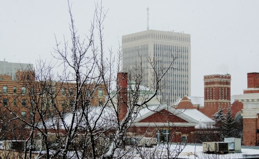 first day of spring 3