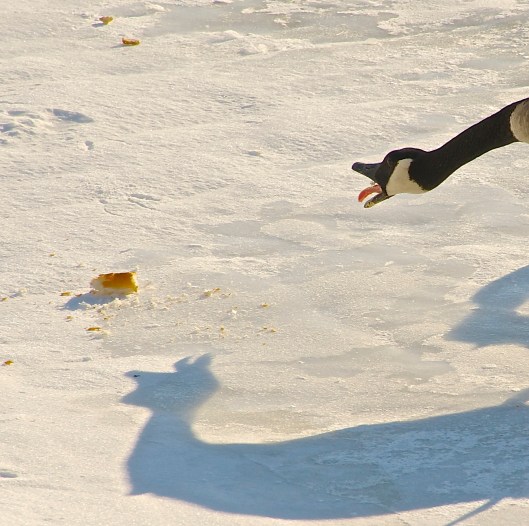 I'm hungry and it's all mine...