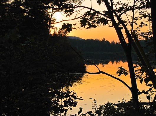 Algonquin Park sunset in Ontario 