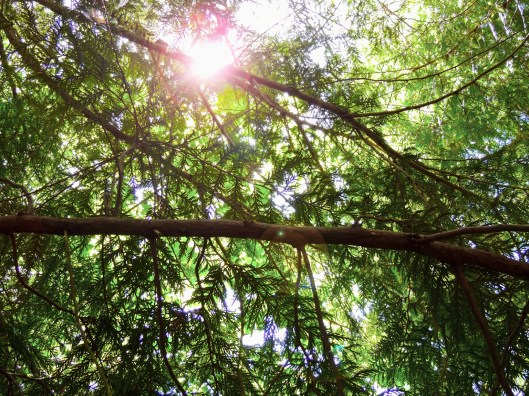 walking to beach at Orveas Bay
