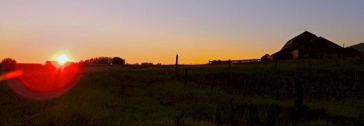 here comes the sun 1