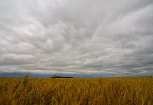 land of living skies