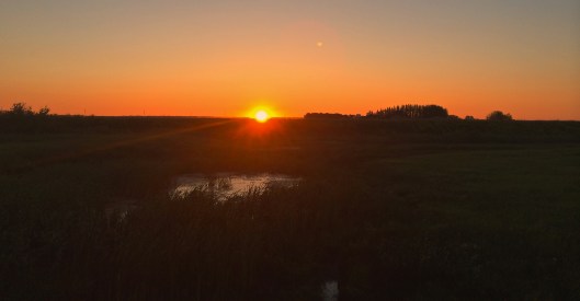 mid July Sunrise on the prairies 2