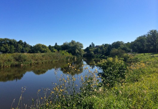 Sunday morning walk 3