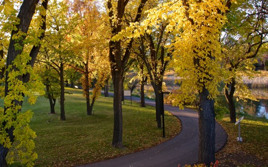 a Thanksgiving day walk in the park 3