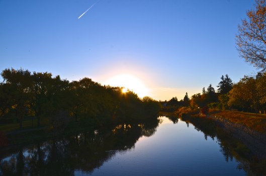 a Thanksgiving day walk in the park4