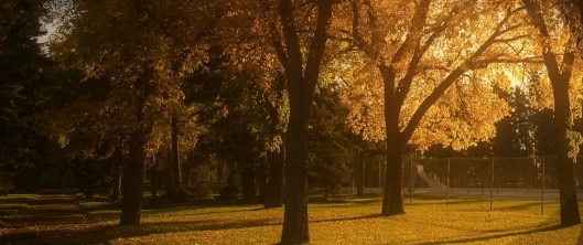 Wascana Park 2014 romantic look