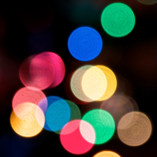 Kim's Christmas lights 2014 two