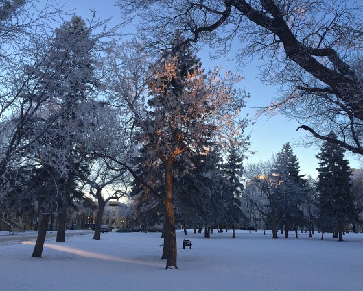 Sunday morning walk to work 1