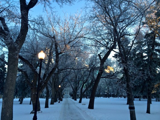 Sunday morning walk to work