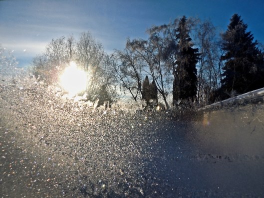 frosted window 2