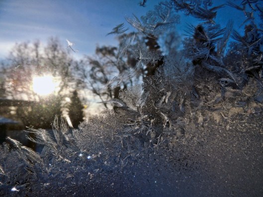 frosted window 5