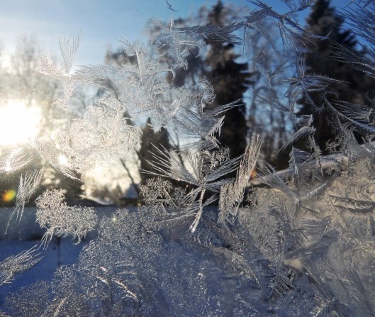 frosted window