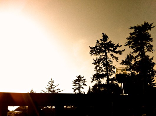 wine and Ocean Village balcony
