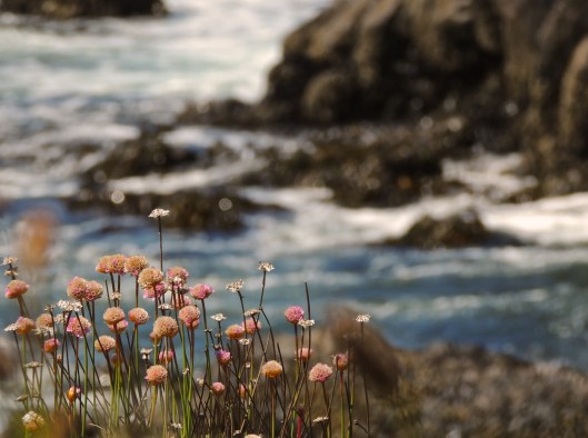Sheringham Point Lighthouse View