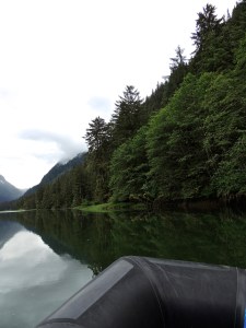 Great Bear Rainforest zodiac