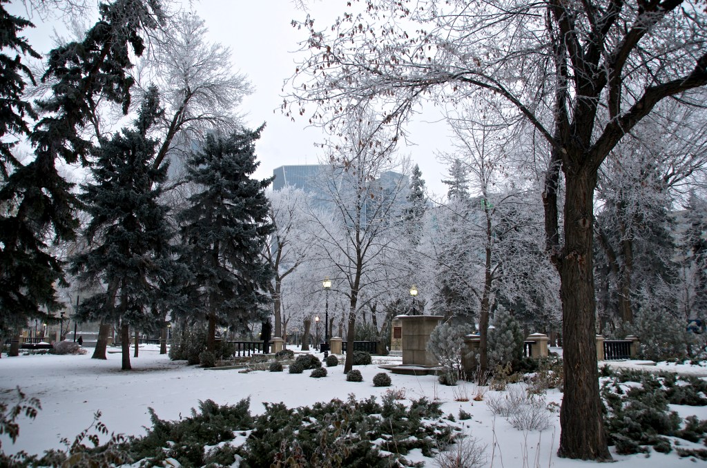 Victoria Park last December 