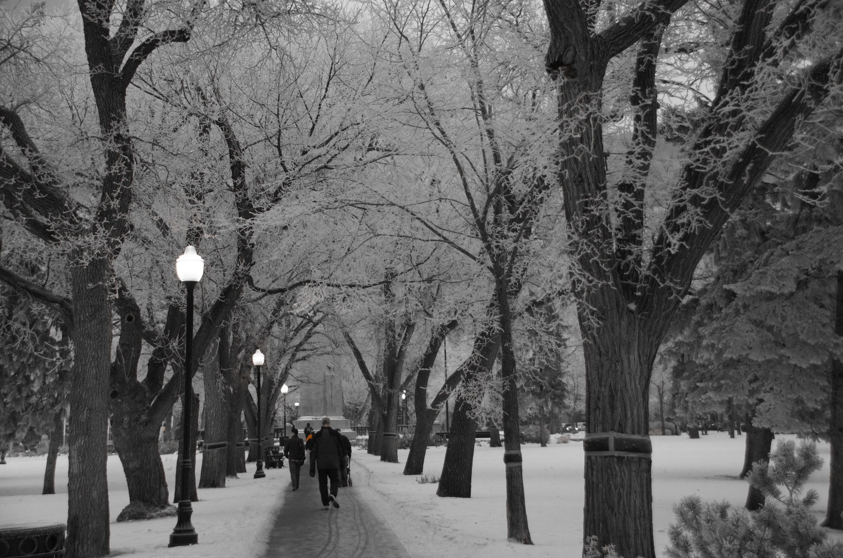 a pretty walk to work