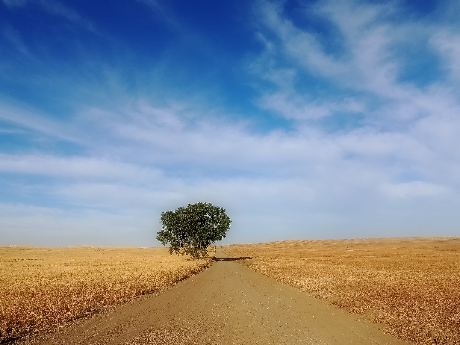 morning-on-the-prairies-at-harvest-time