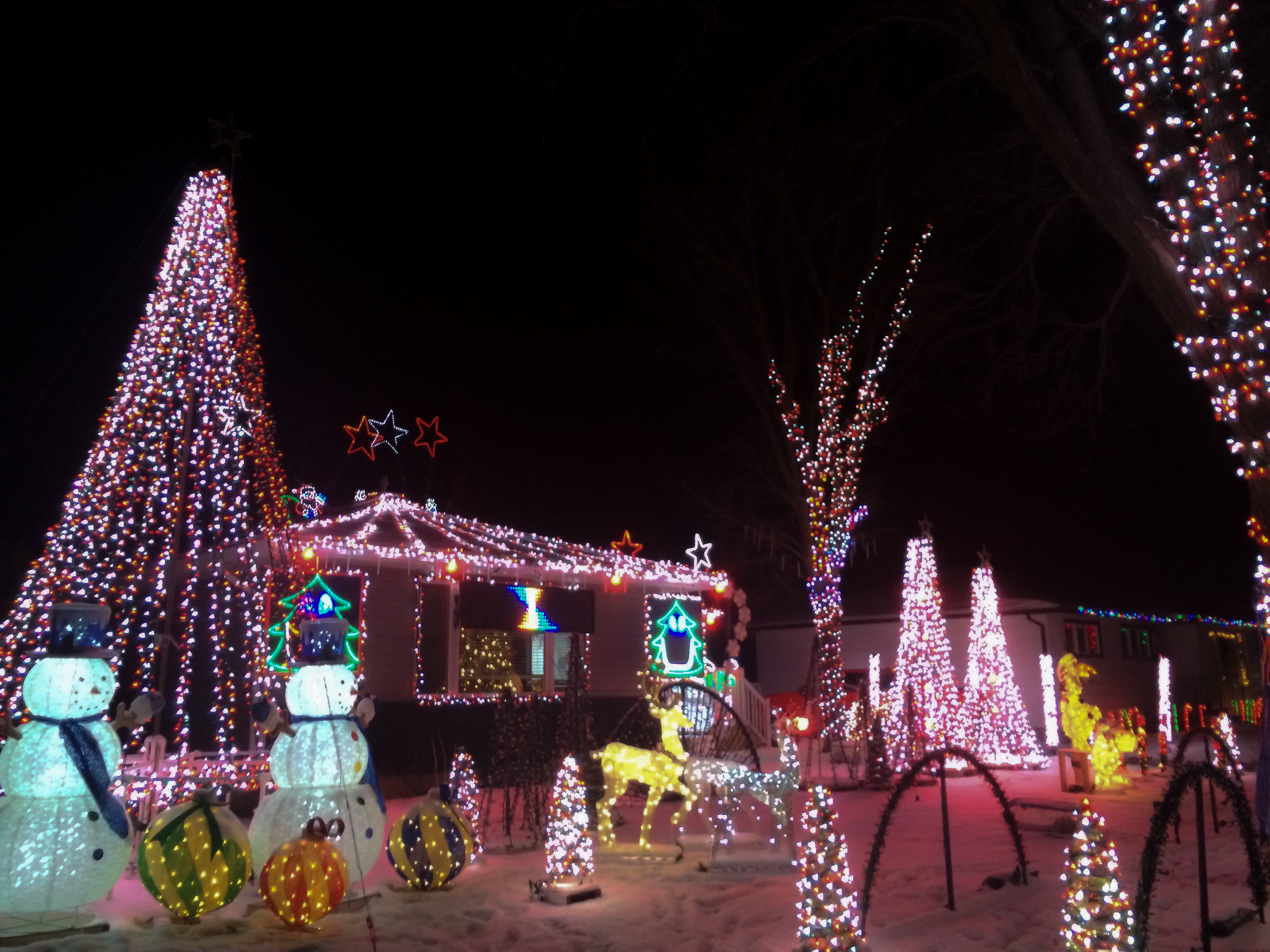 christmas-lights-saskatoon-2