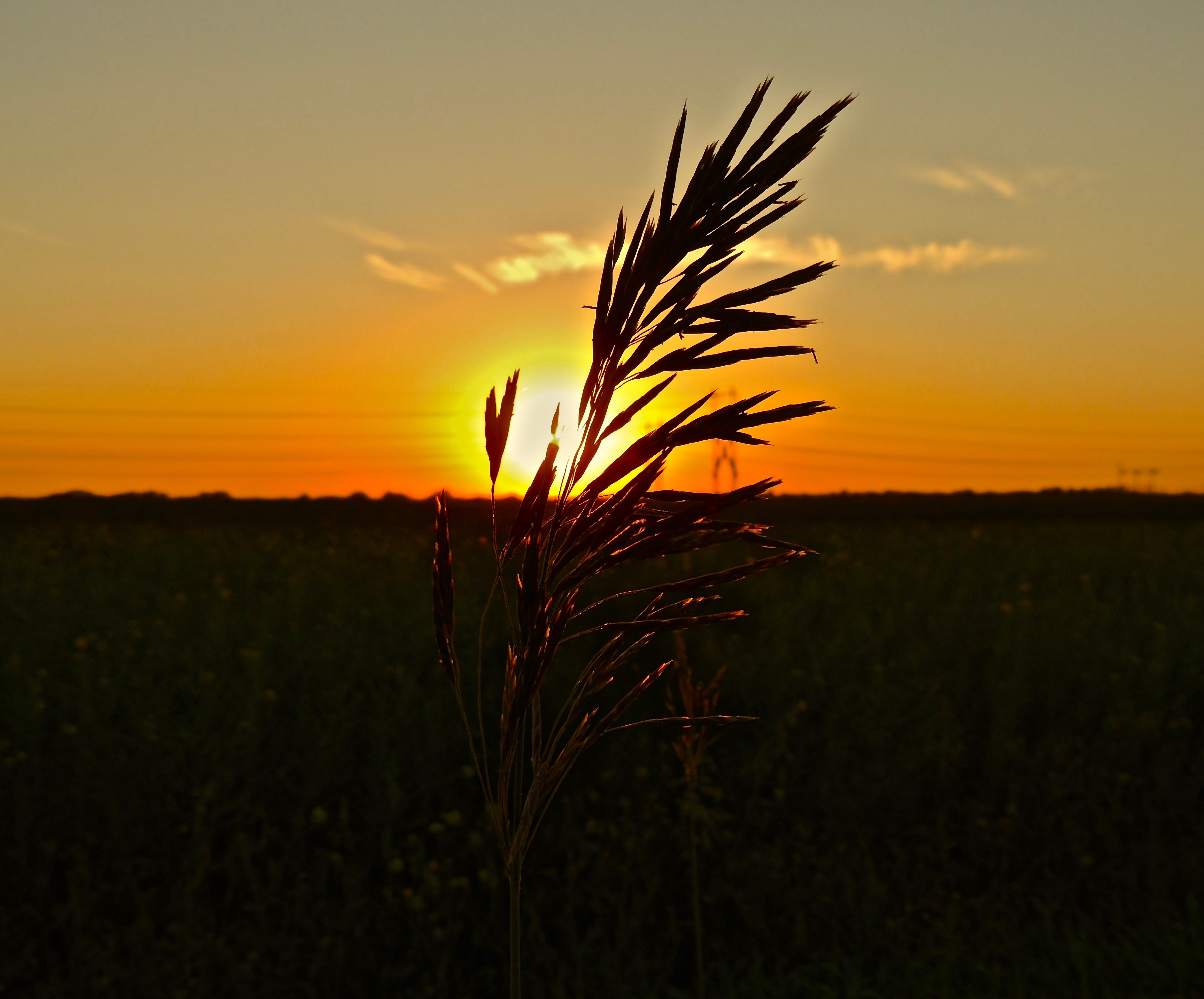 prairie sunset