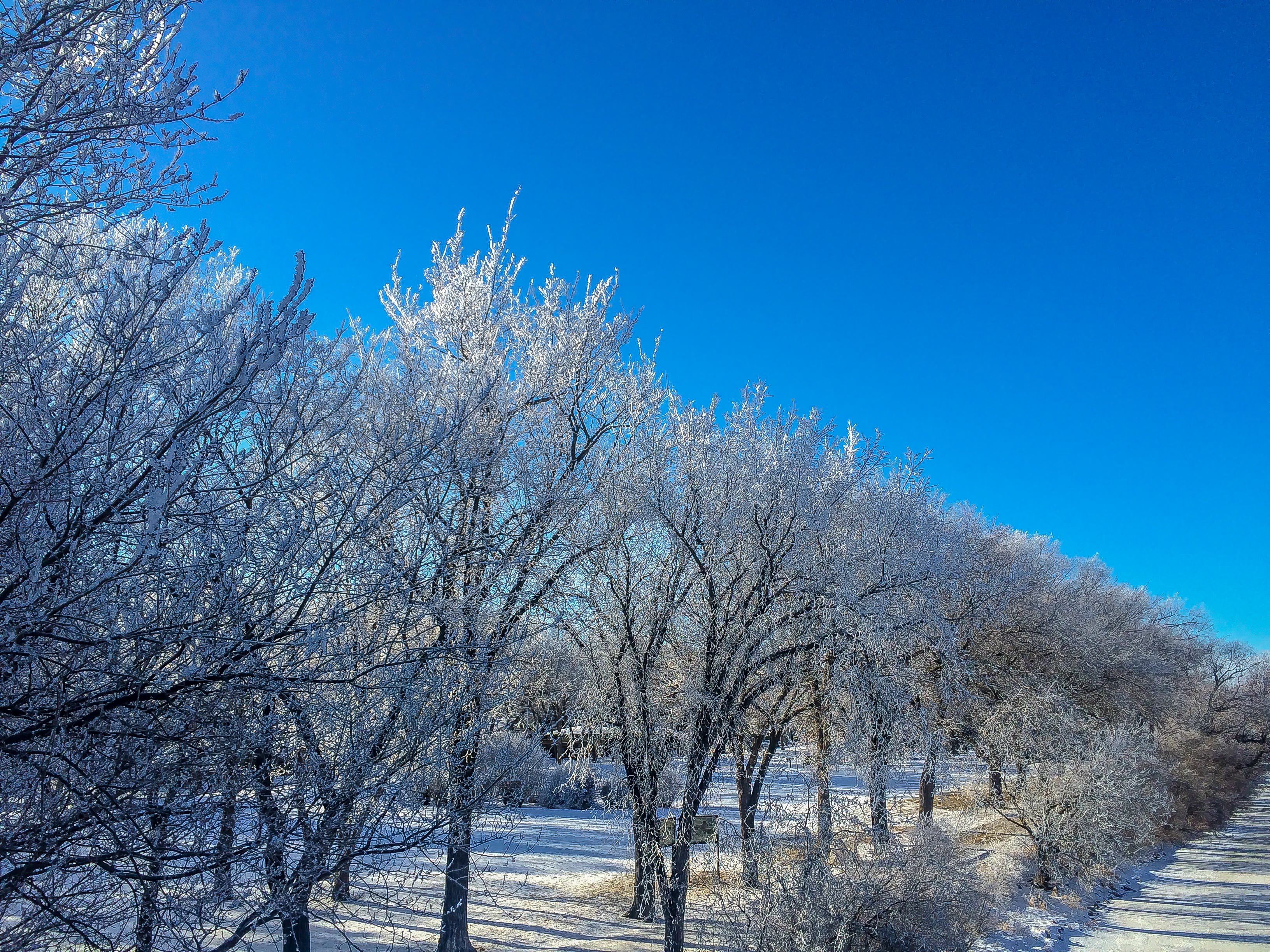 Sunday afternoon hoar frost 2