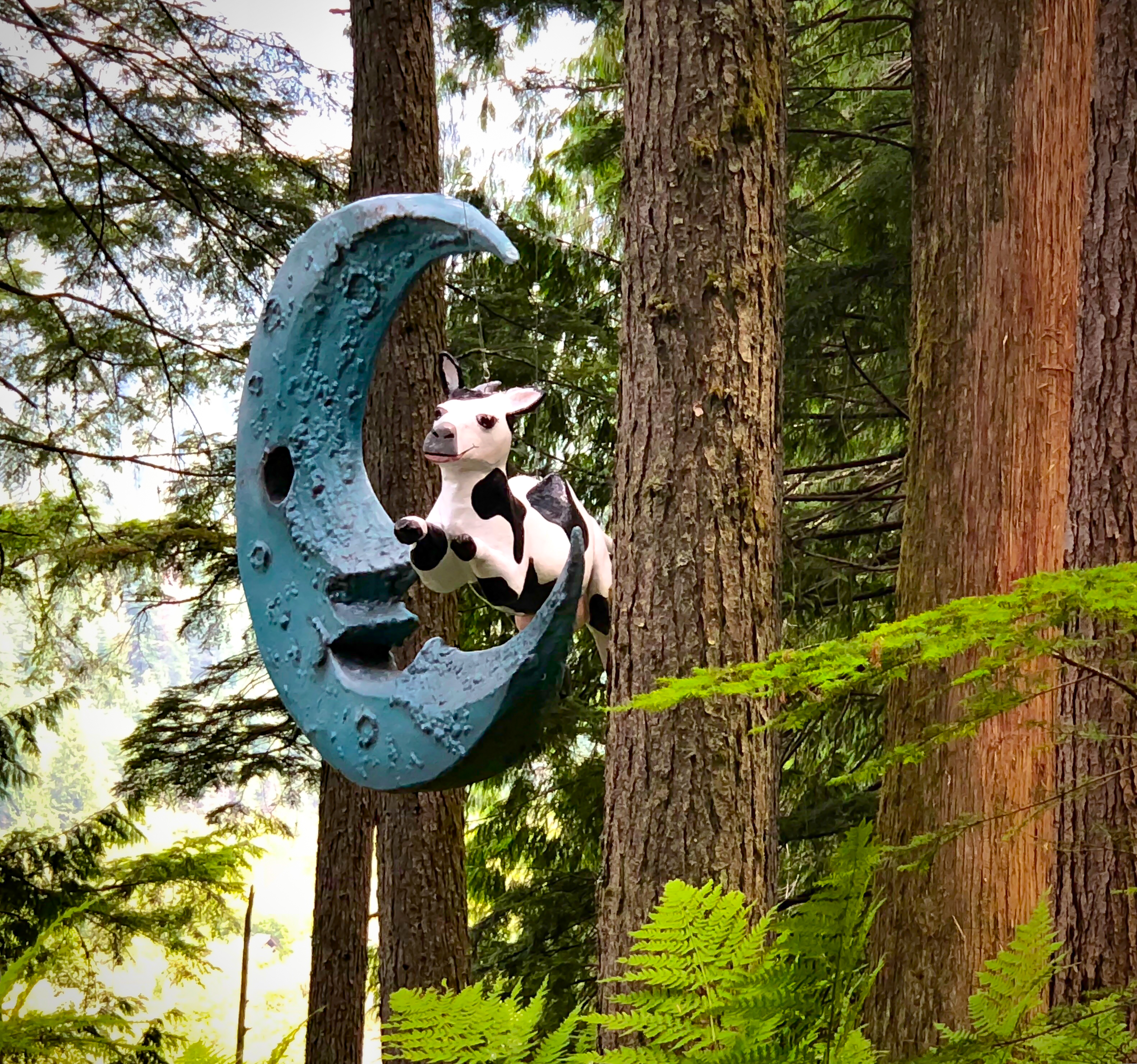 cow jumped over the moon