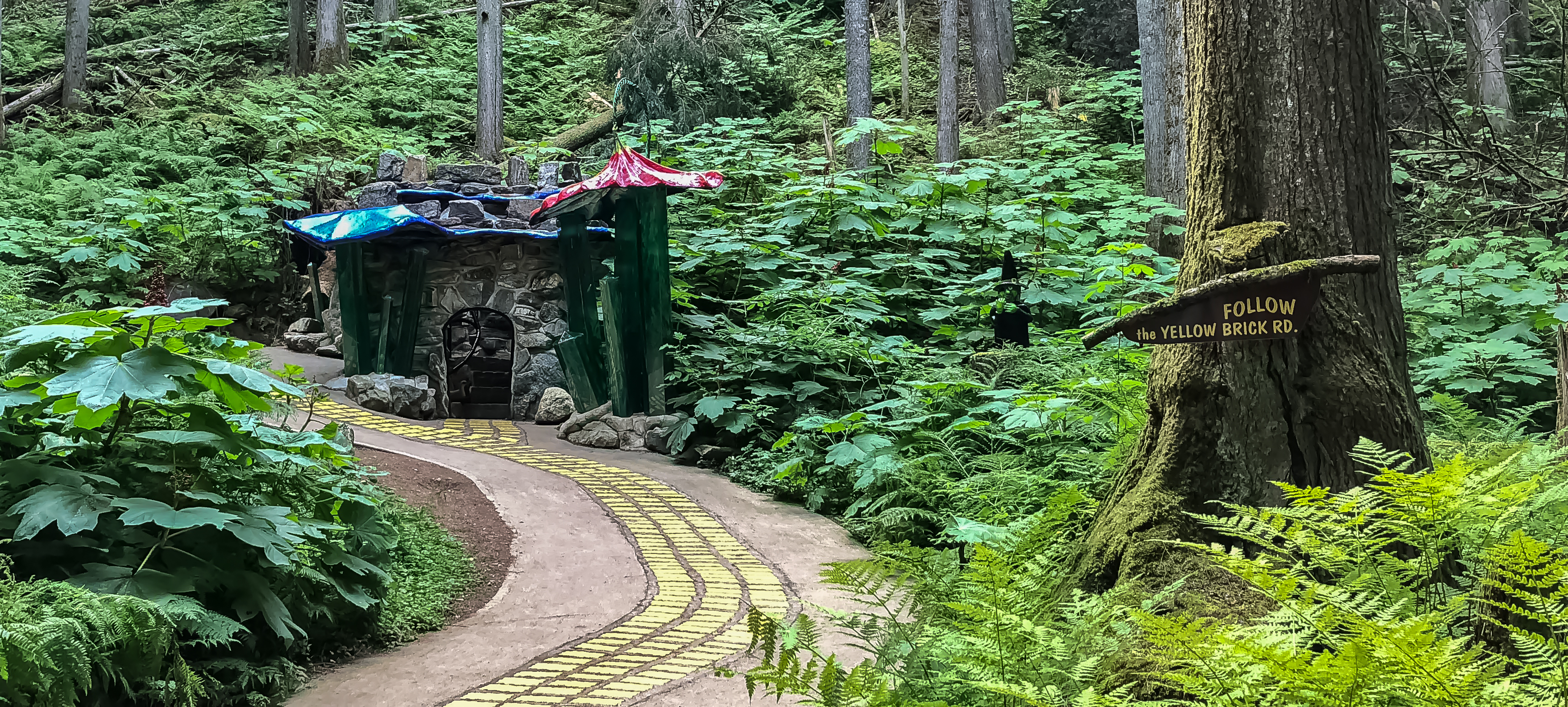 follow the yellow brick road