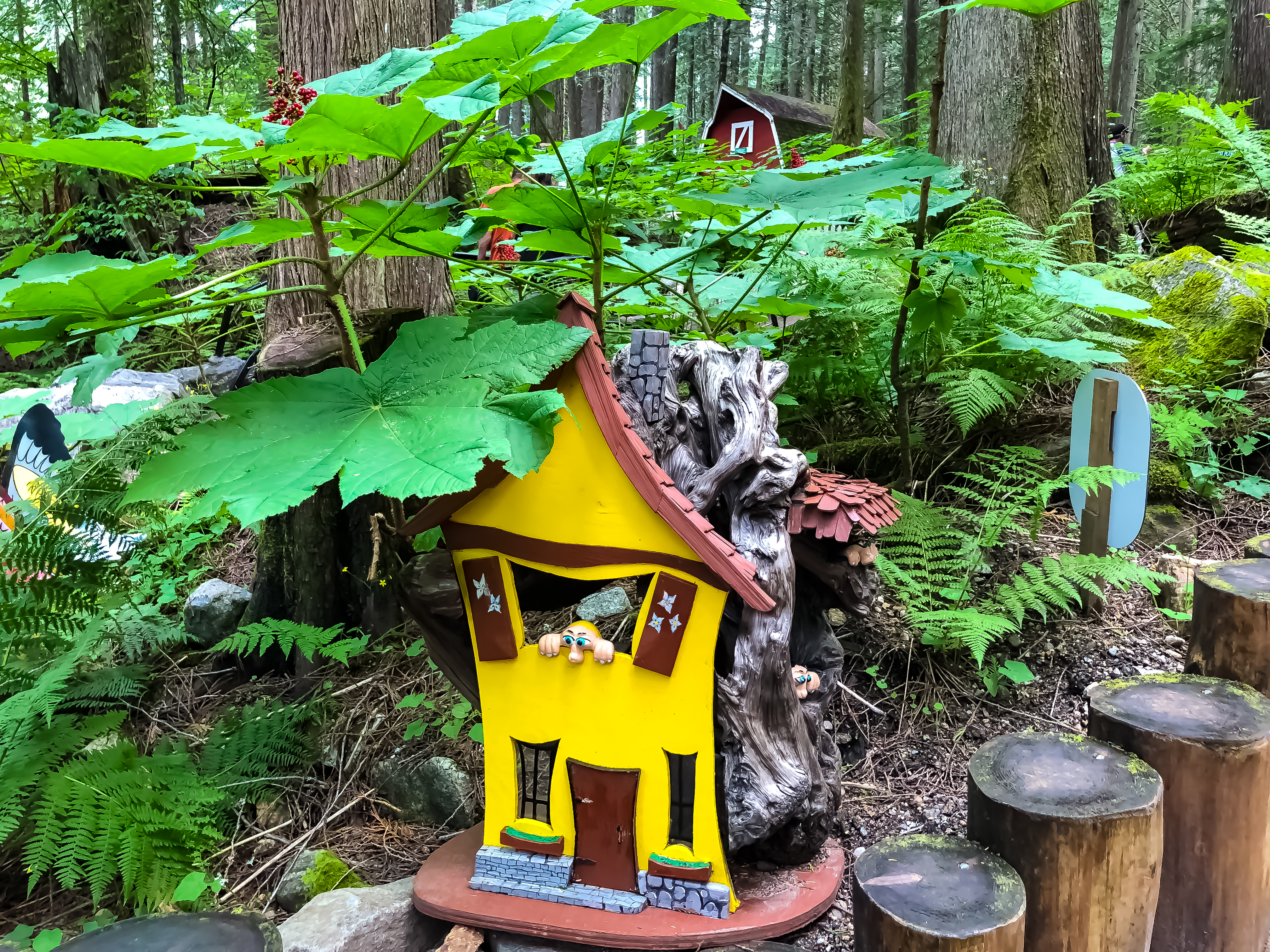 peaking out the window