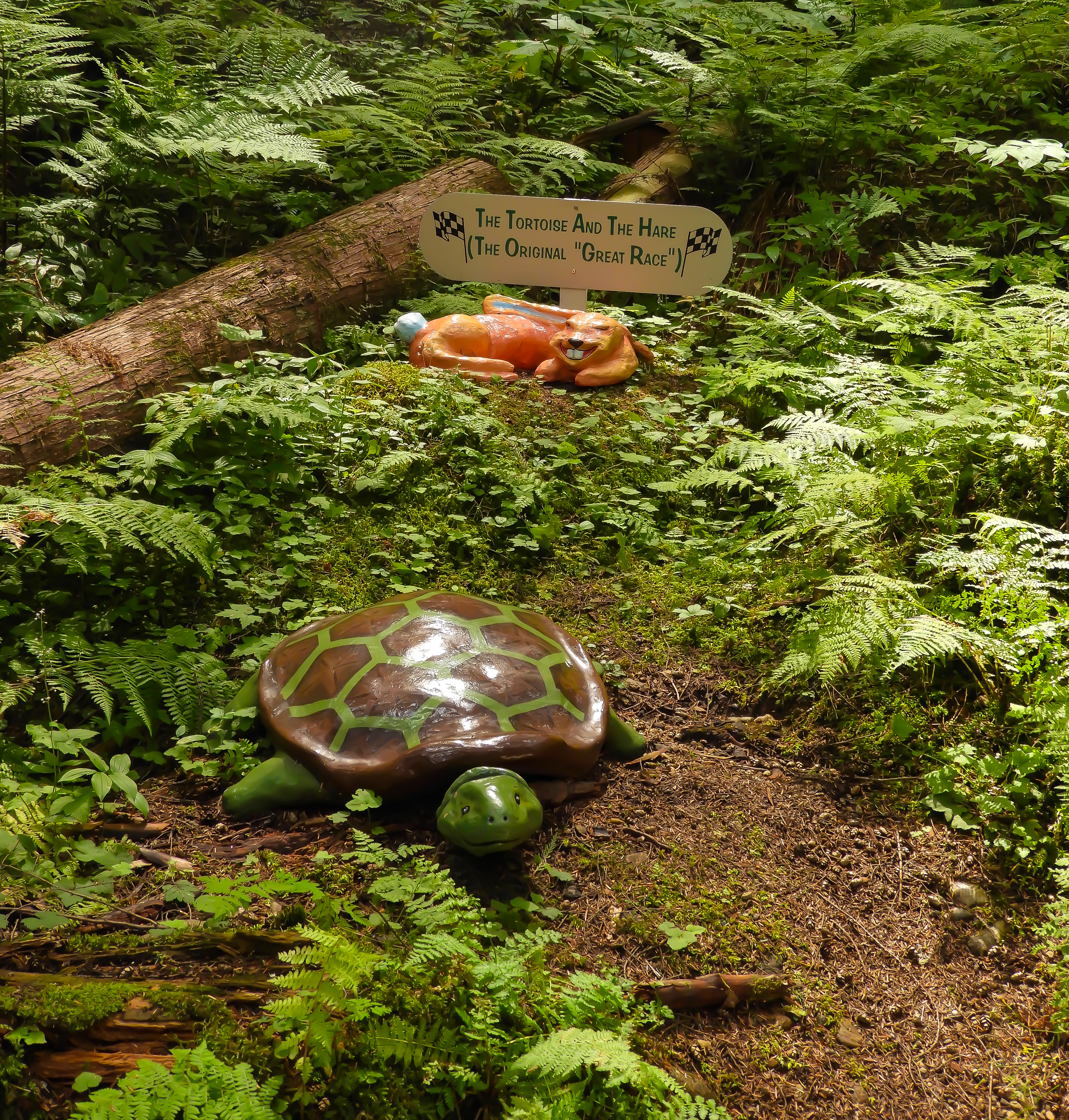 Tortoise and the hare