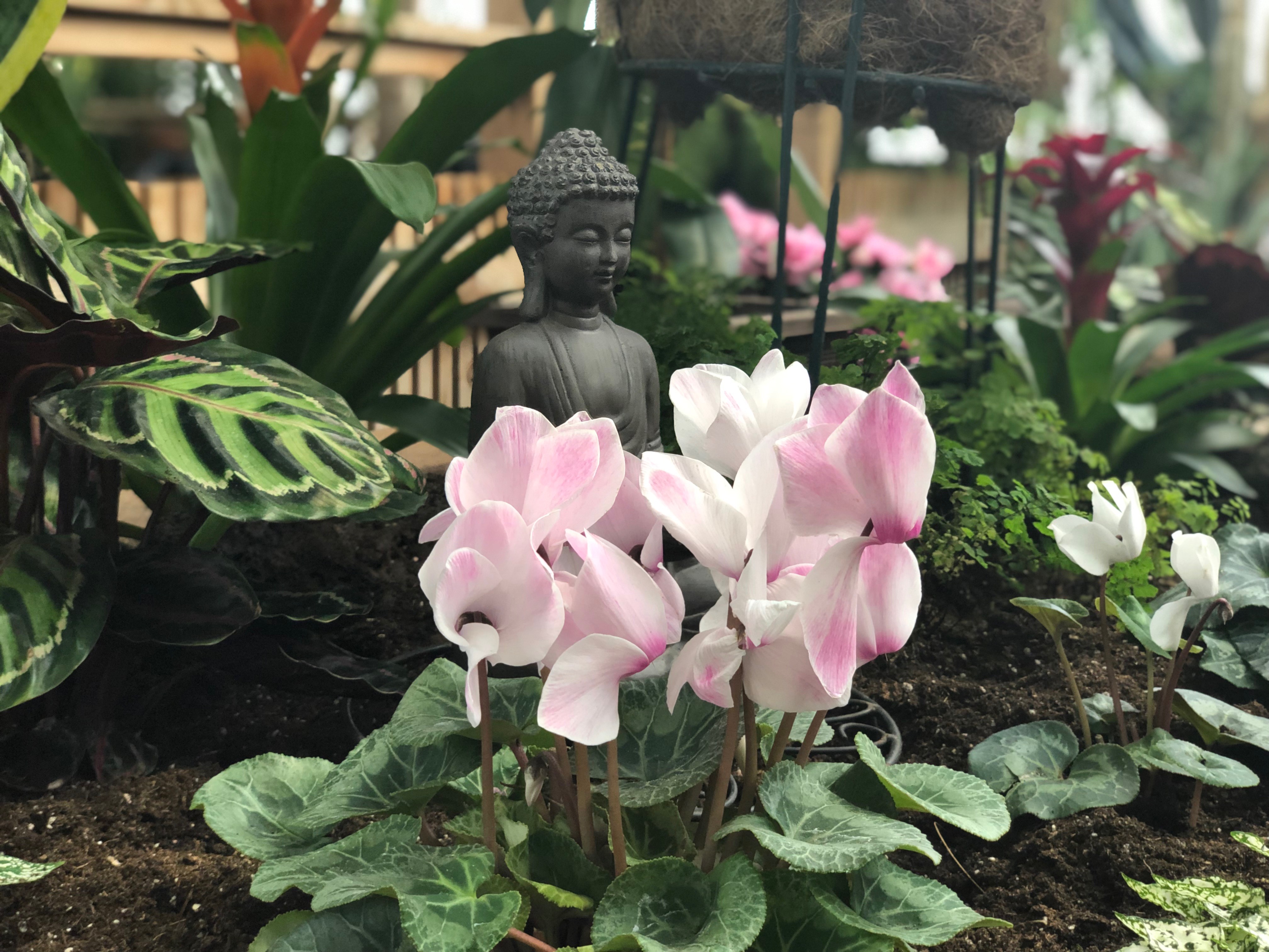 regina floral conservatory 7