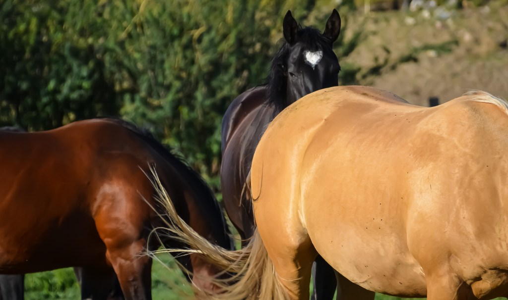 Healthy mindset – Day&nbsp;3