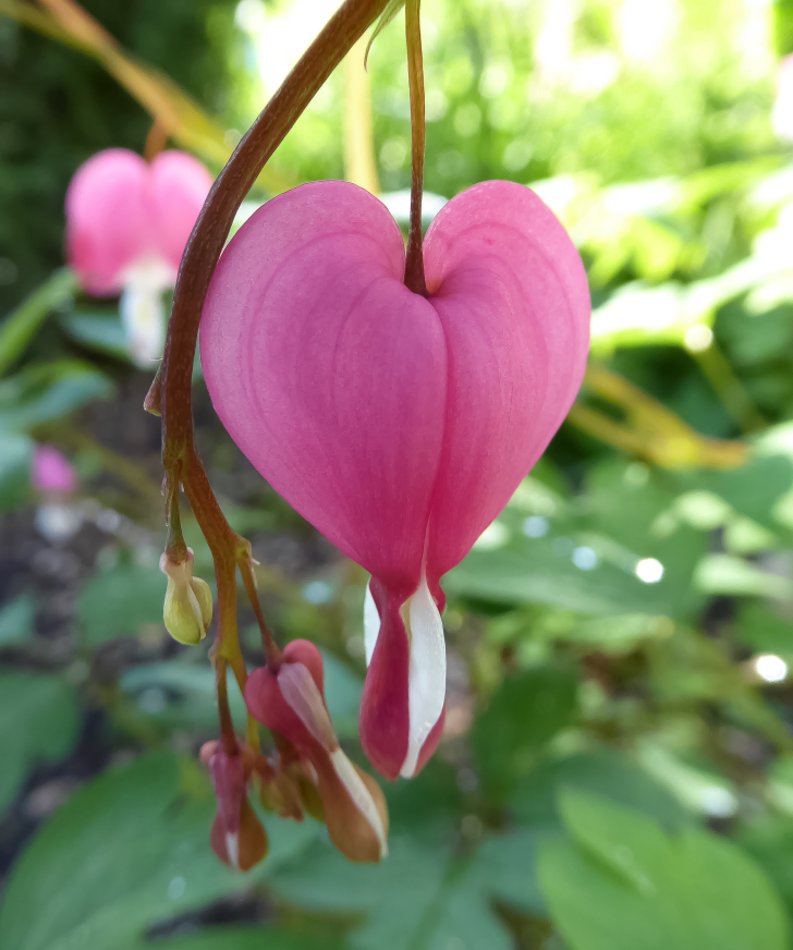 getting my hands&nbsp;dirty