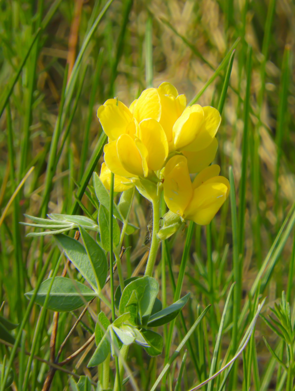 Late Spring in&nbsp;Saskatchewan