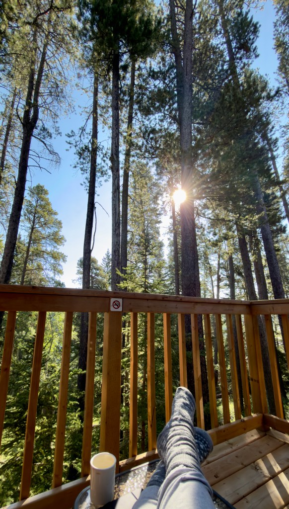morning coffee and sunrise through Lodgepole Pine from a townhouse at Resort at Cypress Hills.